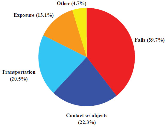 9. Causes of work-related deaths from injuries among Hispanic construction