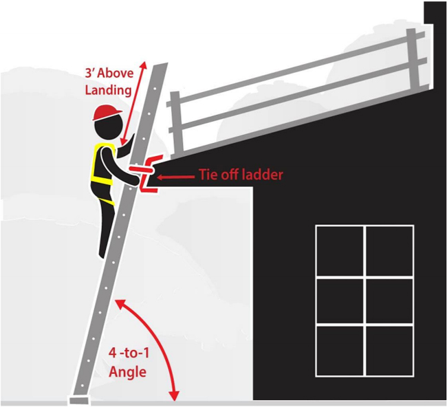 eLCOSH Toolbox Talk Falls Extension Ladders