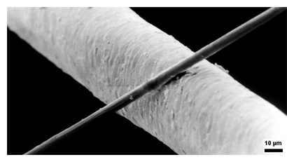 photo of a carbon nanotube laying across a human hair for scale
