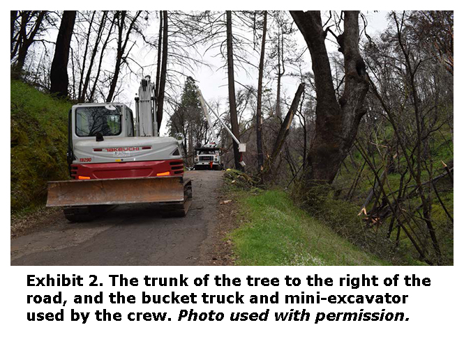 Photo of the trunk of the tree to the right of the road, and the bucket truck and mini-excavator used by the crew