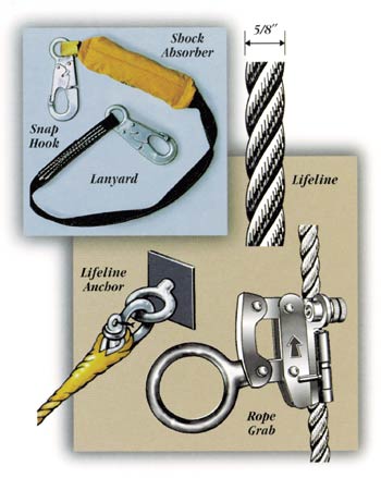 diagram of lifeline