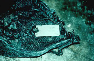 Photo of net label