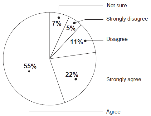 Figure 10: Practitioners’ Opinions on the Efficacy of Safety Incentive Programs