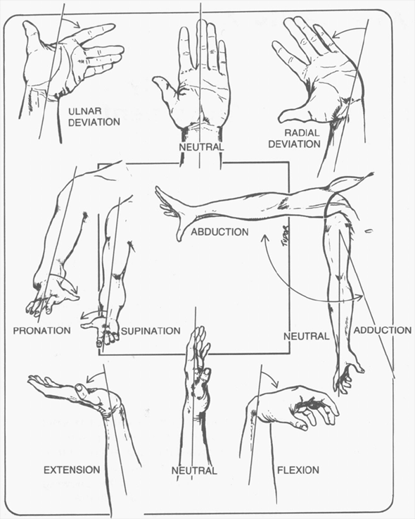 Figure 7 Wrist, hand and arm position/movement planes