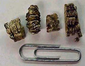 Vermiculite insulation particle size relative to paper clip