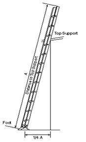 illustration of ladder