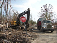 Photo of hurricane clean up