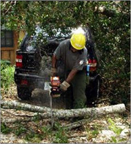 Photo of chain saw operation
