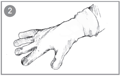 Provide gloves that best protect hands