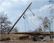 photPhoto of downed power line