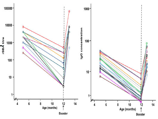 Antibody Graph