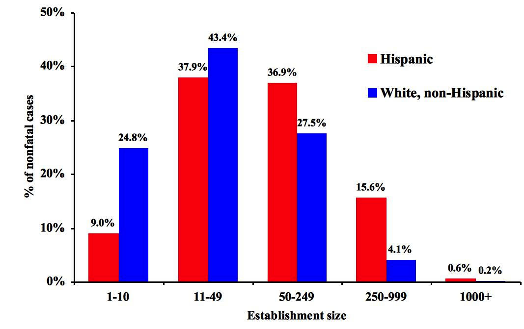 Chart showing Percentage of injuries and illnesses resulting in days away from work, by ethnicity and establishment size