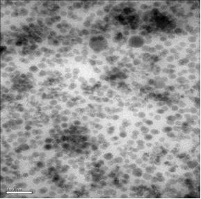 Nano-phase silica-filled epoxy adhesive SEM