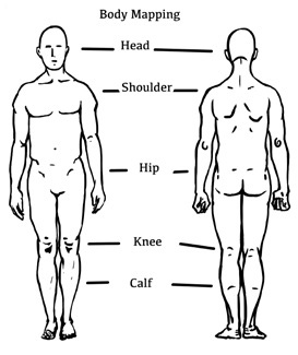 Body mapping diagram: outlines of the front and back of the human body