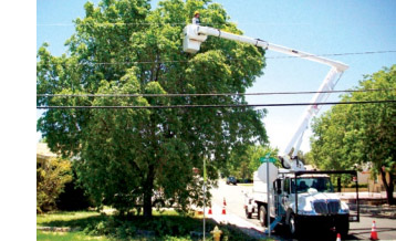 Worker performing tree trimming from a mobile bucket