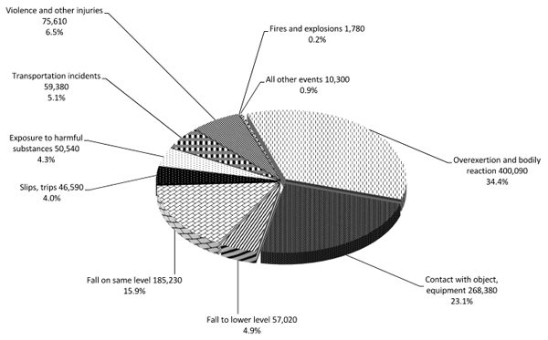 Nonfatal Occupational injuries 2013 pie chart