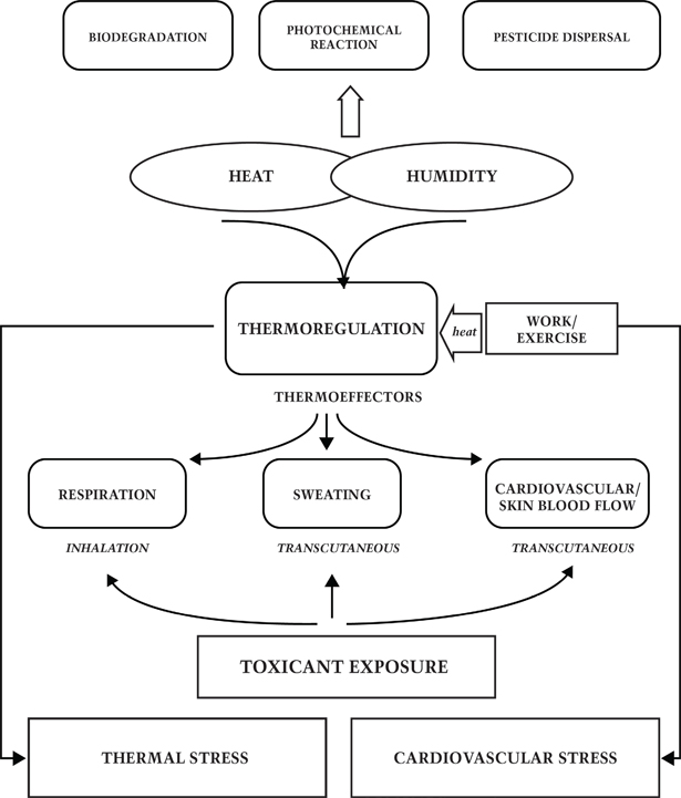 schematic of contributors to dangerous situation