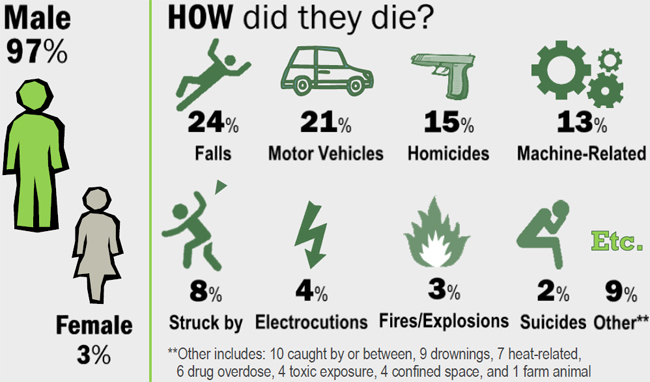 97% male, 3% Female. How did they die? 24% falls, 21% Motor Vehicles, 15% Homicides, 13% Machine-related, 8% struck by falling objects, 4% electrocutions, 3% fires and explosions, 2% suicides, 9% other. Other includes: 10 caught by or between, 9 drownings, 7 heat related, 6 drug overdose, 4 confined space, and 1 farm animal