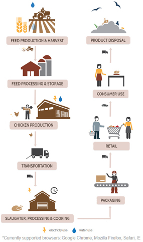 Chicken Supply Chain Visualization: Image shows the chicken supply chain, including feed production and harvest; feed processing and storage; chicken production; transportation; slaughter, processing, and cooking; packaging; retail; consumer use; product disposal.