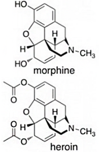Morphine and heroin chemical bonds