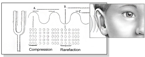 Compression and Rarefaction