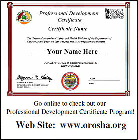 Professional development certificate example
