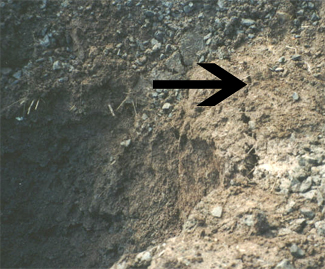 fissure on the side of an excavation