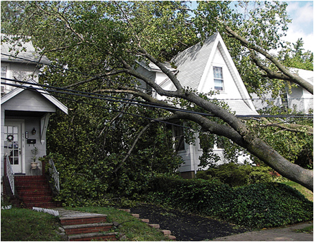 Photo of a powerline fallen in front of a house