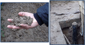 This is a close-up image (left) of a hand holding the soil, and (right) the trench area with soil.