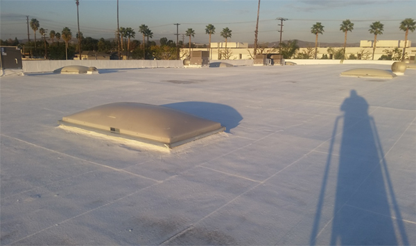 Exhibit 1. The flat roof of the warehouse showing the skylights and AC units.