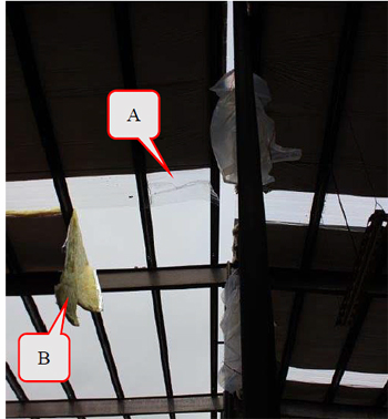 Figure 5. Skylight that collapsed under the roofer (A); insulation that tore (B).
