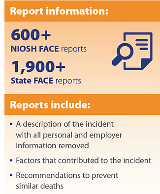 Report information: 600+
NIOSH FACE reports
1,900+
State FACE reports. Reports include:
• A description of the incident
with all personal and employer
information removed
• Factors that contributed to the incident
• Recommendations to prevent
similar deaths.  