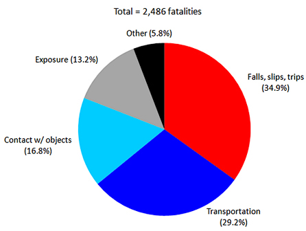 pie chart regarding fatalities