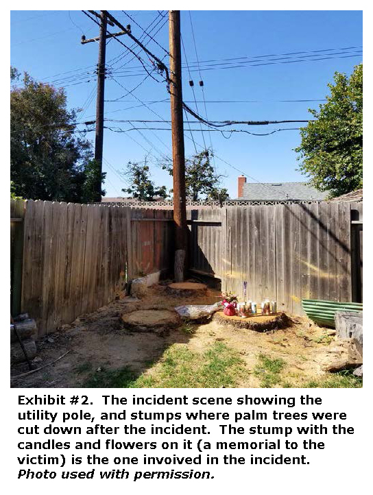 Photo of the incident scene showing the utility pole, and stumps where palm trees were cut down after the incident. The stump with the candles and flowers on it is the one involved in the incident